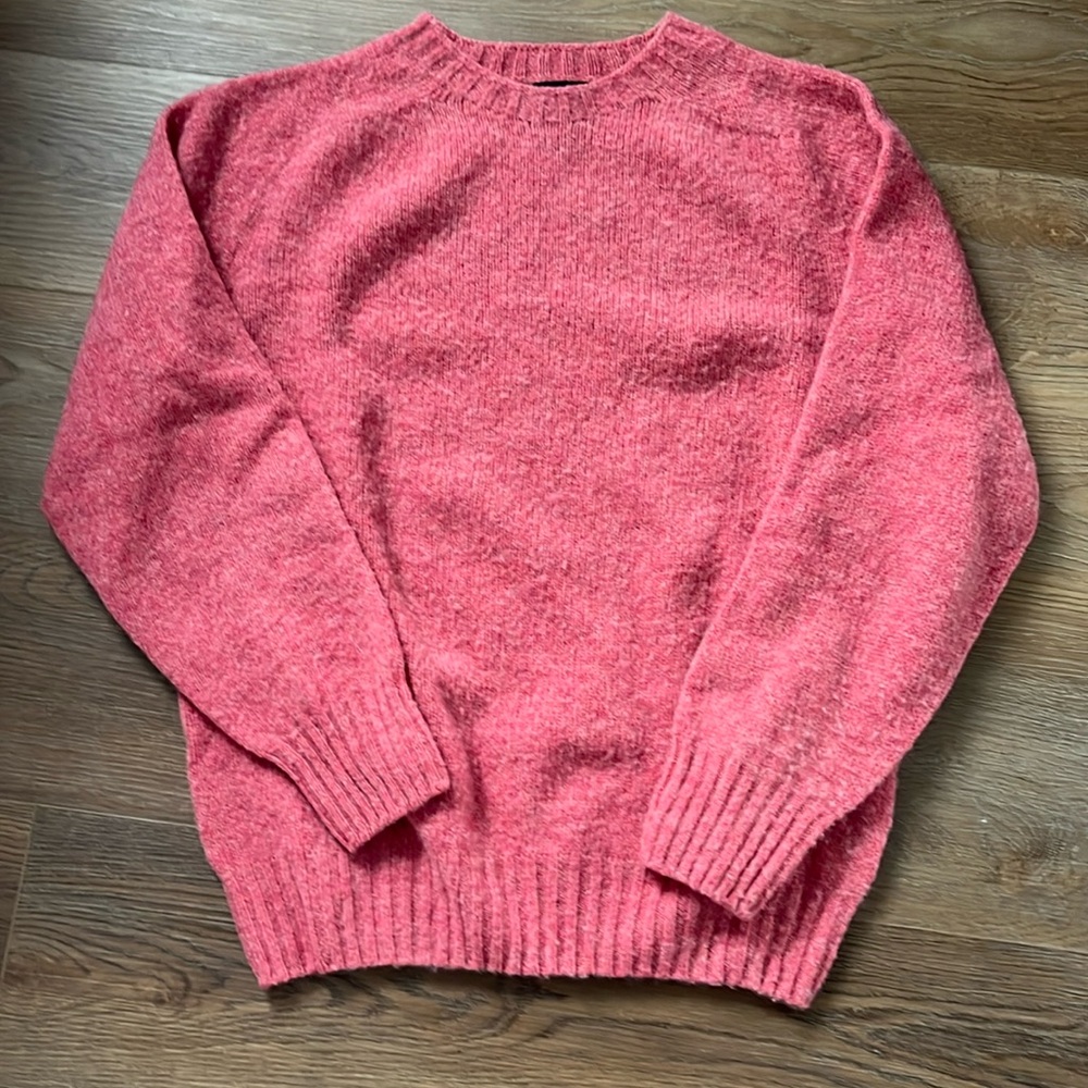 Howlin Shetland wool sweater (L)